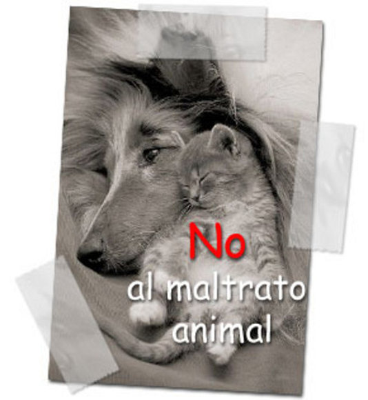No al maltrato animal