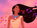 Colores en el viento