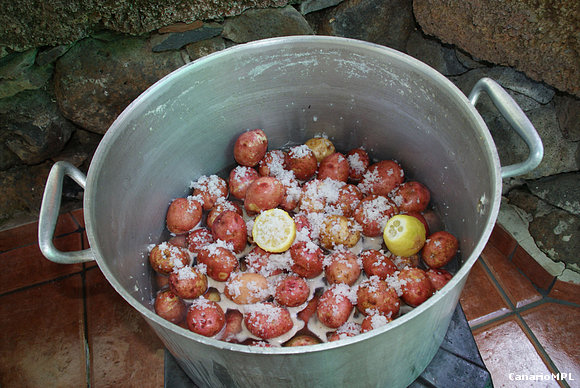 Papas arrugadas