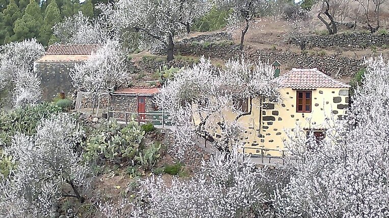 Almendros