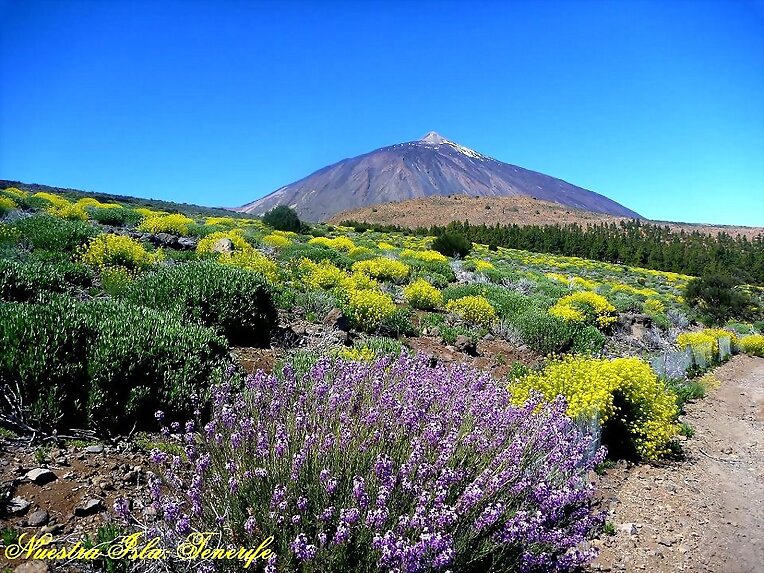 El Teide