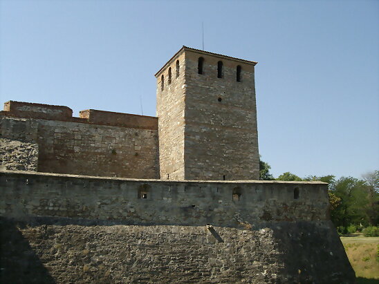 Vidin-Babini vidini kuli