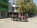 Vidin-centro