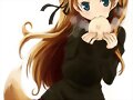 &#12450;&#12491;&#12513;&#12420;&#12510;&#12531;&#12460;&#12388;&#12424;&#12367;&#12394;&#12435;&#12363;&#12394;&#12356;&#12369;&#12393;