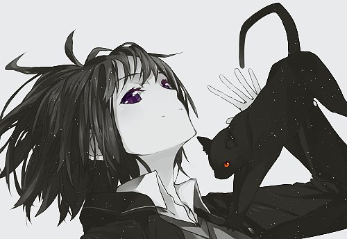 アニメやマンガつよくなんかないけど