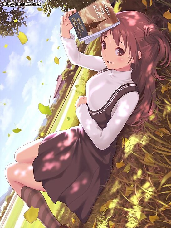 アニメやマンガつよくなんかないけど