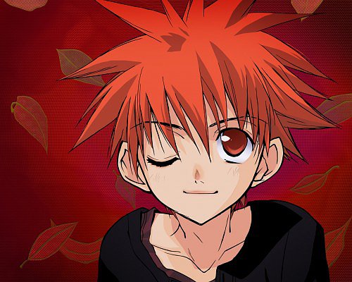 アニメやマンガつよくなんかないけど