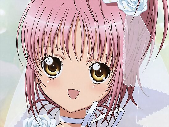 アニメやマンガつよくなんかないけど