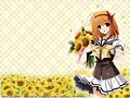 &#12450;&#12491;&#12513;&#12420;&#12510;&#12531;&#12460;&#12388;&#12424;&#12367;&#12394;&#12435;&#12363;&#12394;&#12356;&#12369;&#12393;