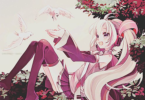 私は魔女よ