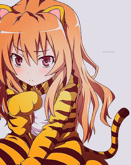 →→🃏ʕ•͡ᴥ•ʔ〖❀◦✿◦❀〗←←