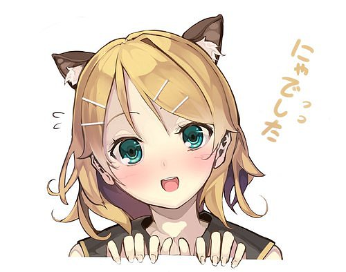 →→🃏ʕ•͡ᴥ•ʔ〖❀◦✿◦❀〗←←