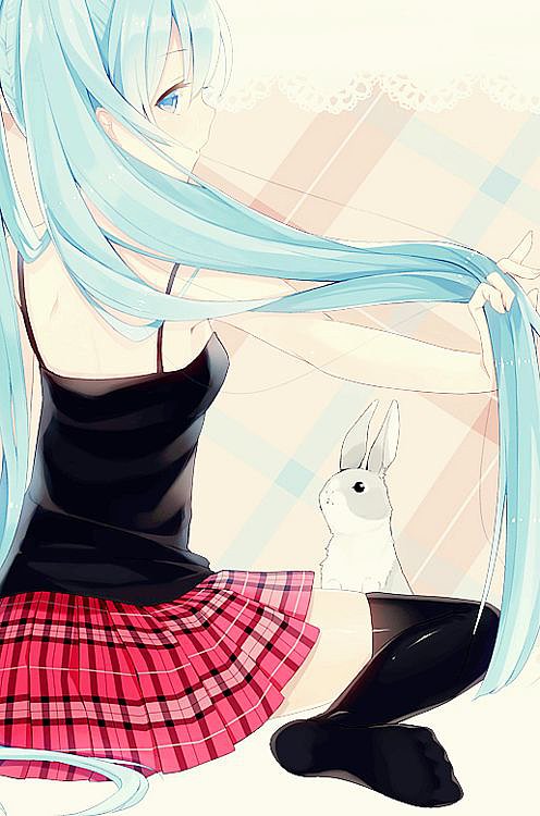 →→🃏ʕ•͡ᴥ•ʔ〖❀◦✿◦❀〗←←