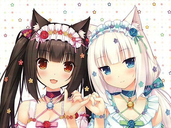→→🃏ʕ•͡ᴥ•ʔ〖❀◦✿◦❀〗←←