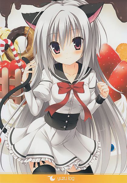 →→🃏ʕ•͡ᴥ•ʔ〖❀◦✿◦❀〗←←