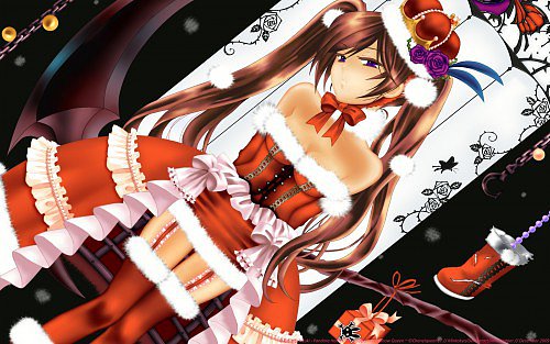 →→🃏ʕ•͡ᴥ•ʔ〖❀◦✿◦❀〗←←