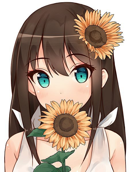 →→🃏ʕ•͡ᴥ•ʔ〖❀◦✿◦❀〗←←