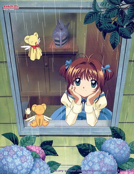 MI FOTO SAKURA