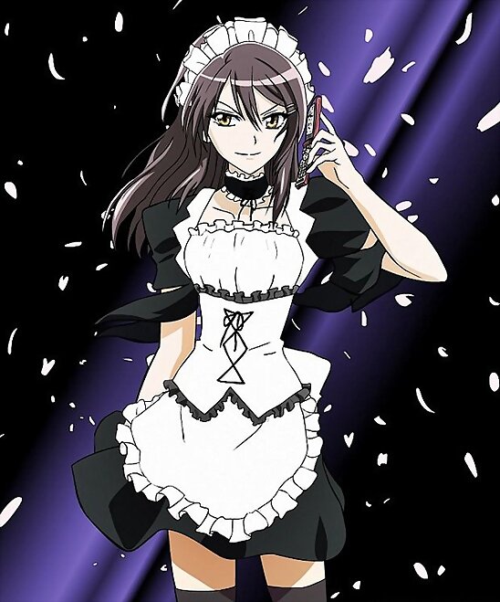especial de kaichou maid sama