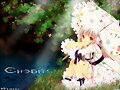 Chobits anime
