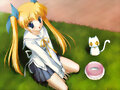 Da capo especial