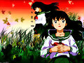 INUYASHA