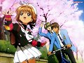 IMAGENES DE SAKURA!