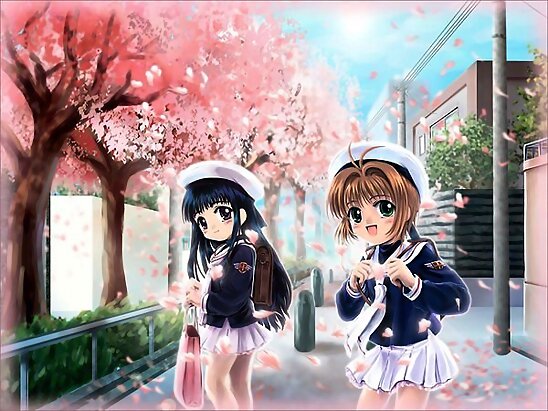 Kinomoto Sakura