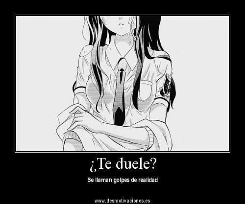 Yo si te quiero