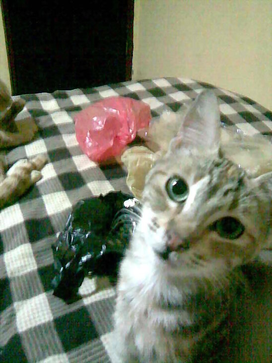 MI RUBIA