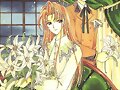 &#12525;&#12540;&#12489;&#12473;&#23798;&#25126;&#35352;