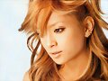 &#12302;&#31186;&#36895;5&#12475;&#12531;&#12481;&#12513;&#12540;&#12488;&#12523; &#22338;&#26412;&#30495;&#32190;&#12303;