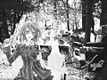 &#12302;&#31186;&#36895;5&#12475;&#12531;&#12481;&#12513;&#12540;&#12488;&#12523; &#22338;&#26412;&#30495;&#32190;&#12303;