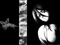 &#12302;&#31186;&#36895;5&#12475;&#12531;&#12481;&#12513;&#12540;&#12488;&#12523; &#22338;&#26412;&#30495;&#32190;&#12303;
