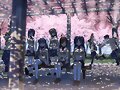 &#12302;&#31186;&#36895;5&#12475;&#12531;&#12481;&#12513;&#12540;&#12488;&#12523; &#22338;&#26412;&#30495;&#32190;&#12303;