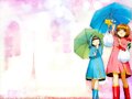 &#12302;&#31186;&#36895;5&#12475;&#12531;&#12481;&#12513;&#12540;&#12488;&#12523; &#22338;&#26412;&#30495;&#32190;&#12303;