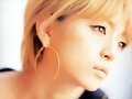 &#12302;&#31186;&#36895;5&#12475;&#12531;&#12481;&#12513;&#12540;&#12488;&#12523; &#22338;&#26412;&#30495;&#32190;&#12303;