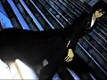 &#12302;&#31186;&#36895;5&#12475;&#12531;&#12481;&#12513;&#12540;&#12488;&#12523; &#22338;&#26412;&#30495;&#32190;&#12303;