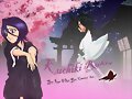 &#12302;&#31186;&#36895;5&#12475;&#12531;&#12481;&#12513;&#12540;&#12488;&#12523; &#22338;&#26412;&#30495;&#32190;&#12303;