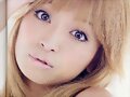 &#12302;&#31186;&#36895;5&#12475;&#12531;&#12481;&#12513;&#12540;&#12488;&#12523; &#22338;&#26412;&#30495;&#32190;&#12303;
