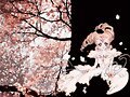&#12302;&#31186;&#36895;5&#12475;&#12531;&#12481;&#12513;&#12540;&#12488;&#12523; &#22338;&#26412;&#30495;&#32190;&#12303;