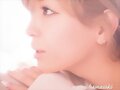 &#12302;&#31186;&#36895;5&#12475;&#12531;&#12481;&#12513;&#12540;&#12488;&#12523; &#22338;&#26412;&#30495;&#32190;&#12303;