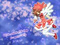 &#12302;&#31186;&#36895;5&#12475;&#12531;&#12481;&#12513;&#12540;&#12488;&#12523; &#22338;&#26412;&#30495;&#32190;&#12303;