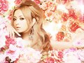 &#12302;&#31186;&#36895;5&#12475;&#12531;&#12481;&#12513;&#12540;&#12488;&#12523; &#22338;&#26412;&#30495;&#32190;&#12303;