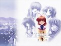 &#12302;&#31186;&#36895;5&#12475;&#12531;&#12481;&#12513;&#12540;&#12488;&#12523; &#22338;&#26412;&#30495;&#32190;&#12303;