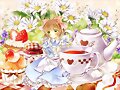 &#12302;&#31186;&#36895;5&#12475;&#12531;&#12481;&#12513;&#12540;&#12488;&#12523; &#22338;&#26412;&#30495;&#32190;&#12303;