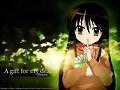 &#12302;&#31186;&#36895;5&#12475;&#12531;&#12481;&#12513;&#12540;&#12488;&#12523; &#22338;&#26412;&#30495;&#32190;&#12303;