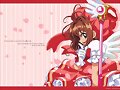 &#12302;&#31186;&#36895;5&#12475;&#12531;&#12481;&#12513;&#12540;&#12488;&#12523; &#22338;&#26412;&#30495;&#32190;&#12303;