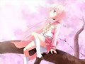 &#12302;&#31186;&#36895;5&#12475;&#12531;&#12481;&#12513;&#12540;&#12488;&#12523; &#22338;&#26412;&#30495;&#32190;&#12303;