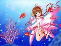 &#12302;&#31186;&#36895;5&#12475;&#12531;&#12481;&#12513;&#12540;&#12488;&#12523; &#22338;&#26412;&#30495;&#32190;&#12303;